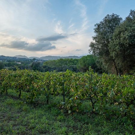 Casa Rural El Bruguer Vell Santa Eulalia de Ronsaná Eksteriør billede