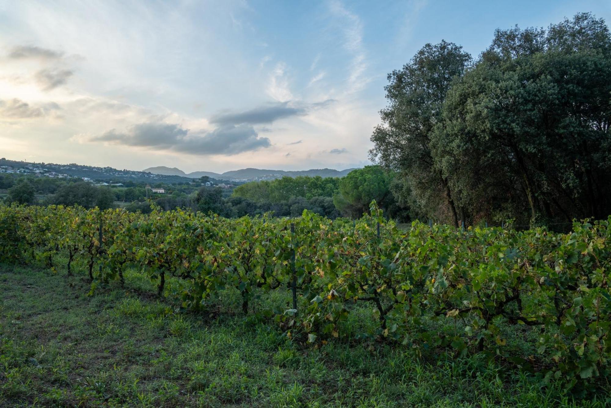 Casa Rural El Bruguer Vell Santa Eulalia de Ronsaná Eksteriør billede
